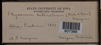 Image Associated With the Occurence